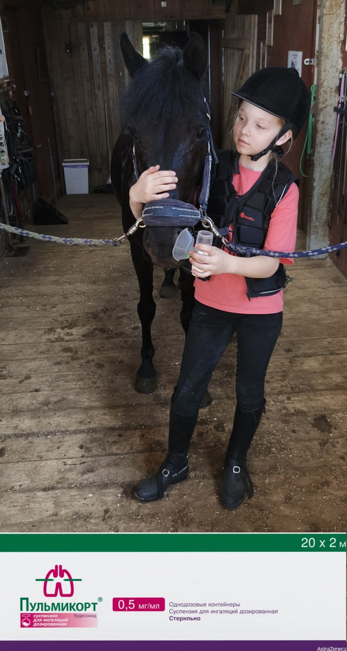 Пример фото